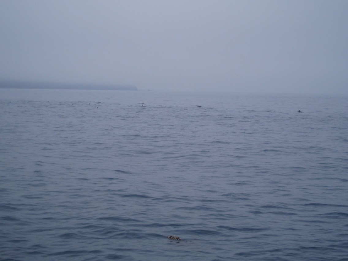 213   30 01   Kaikoura